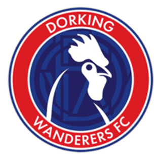 Dorking Wanderers Football Club logo
